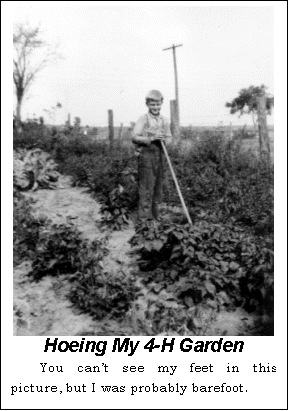 Text Box:  Hoeing My 4-H Garden
You cant see my feet in this pic-ture, but I was probably barefoot.
